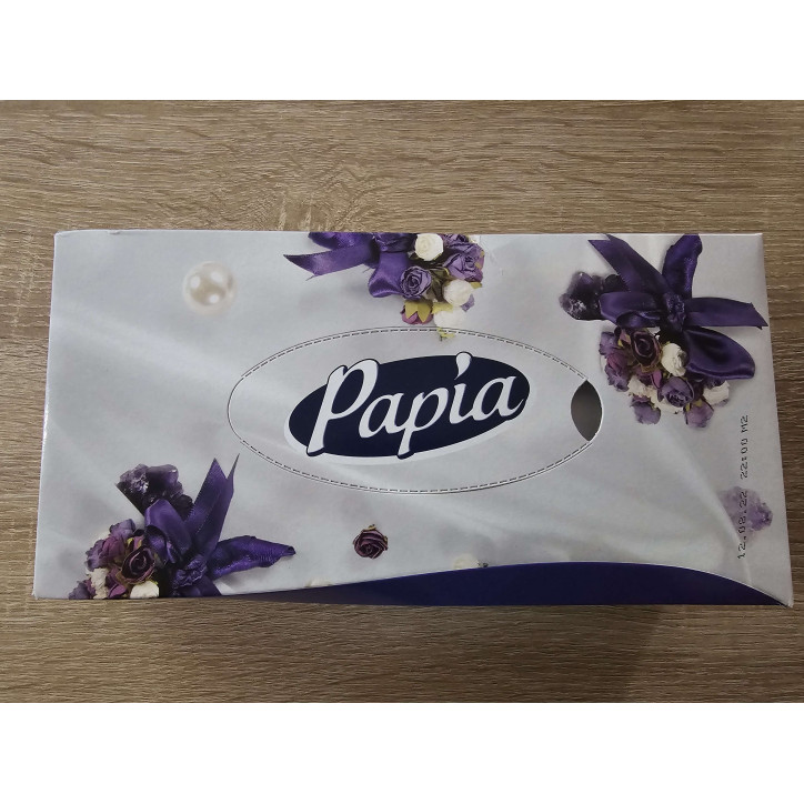 BOITE MOUCHOIRS X 100